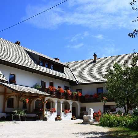 Apartments Susnik Бохінь Екстер'єр фото