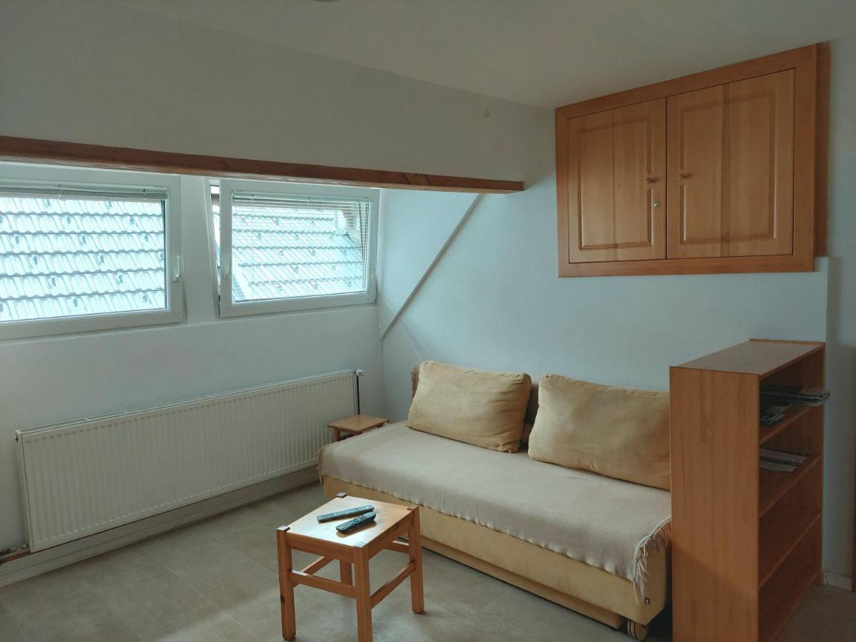 Apartments Susnik Бохінь Екстер'єр фото