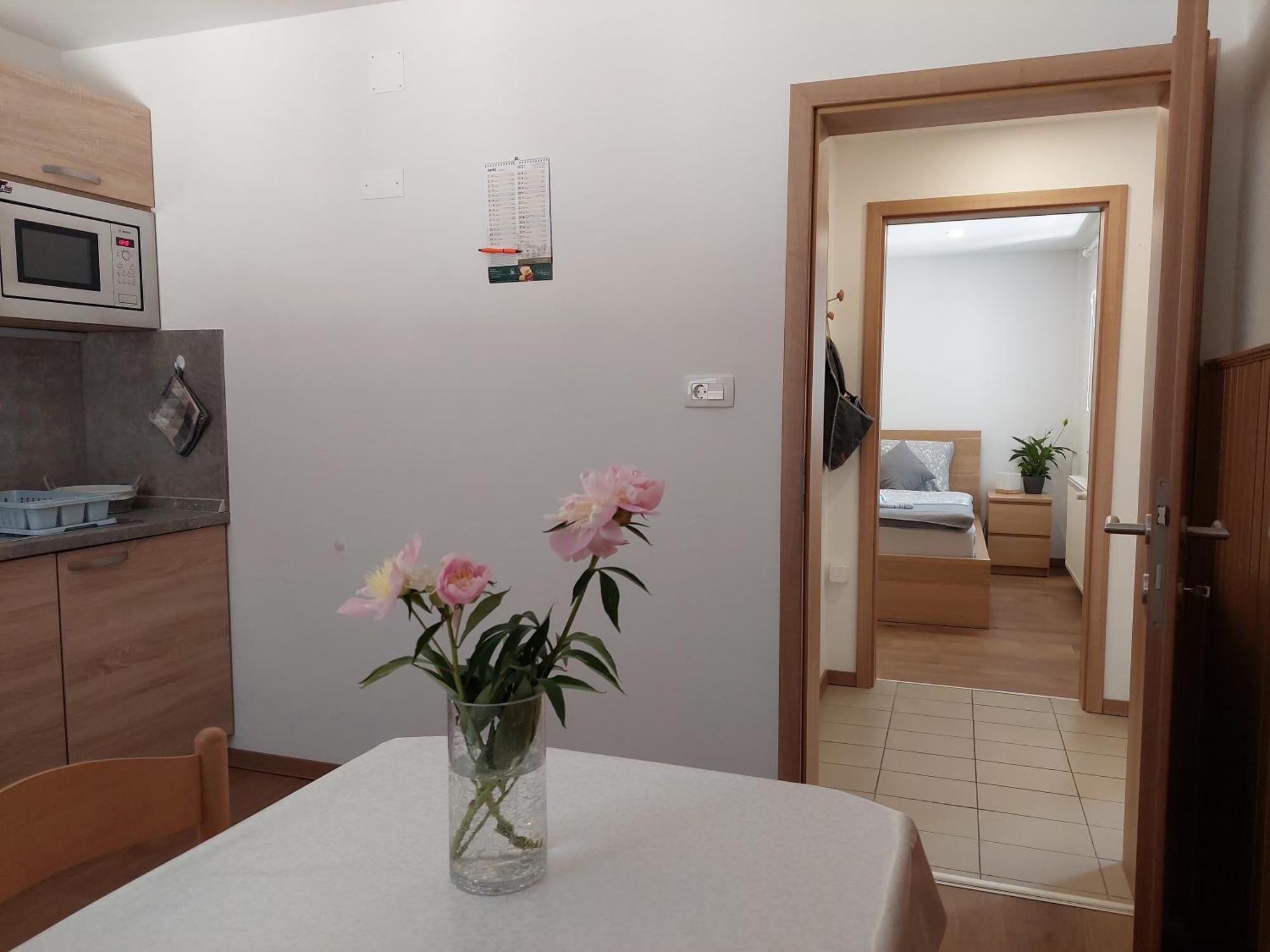 Apartments Susnik Бохінь Номер фото