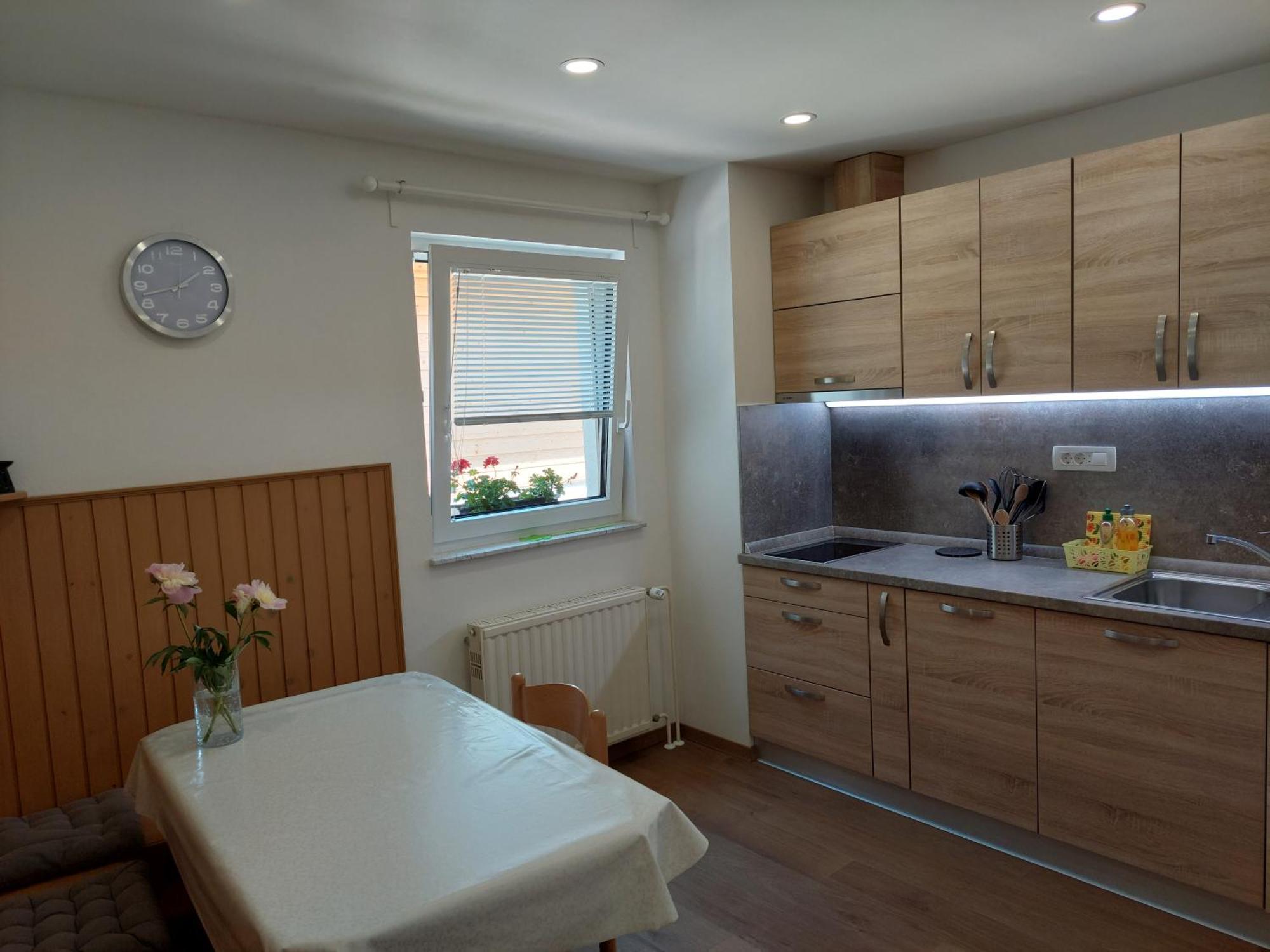 Apartments Susnik Бохінь Номер фото